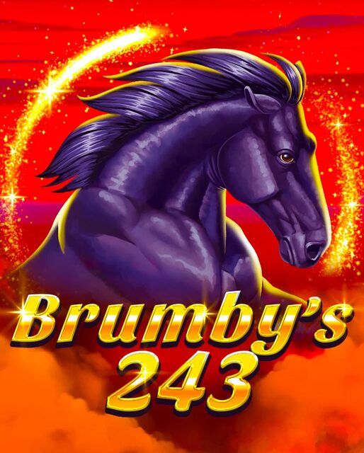Brumby's 243