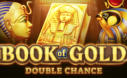 Book of Gold Multichance