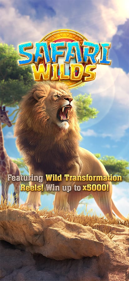 Safari Wilds — скриншот игрового процесса