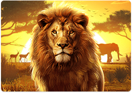 Safari Wilds — скриншот игрового процесса