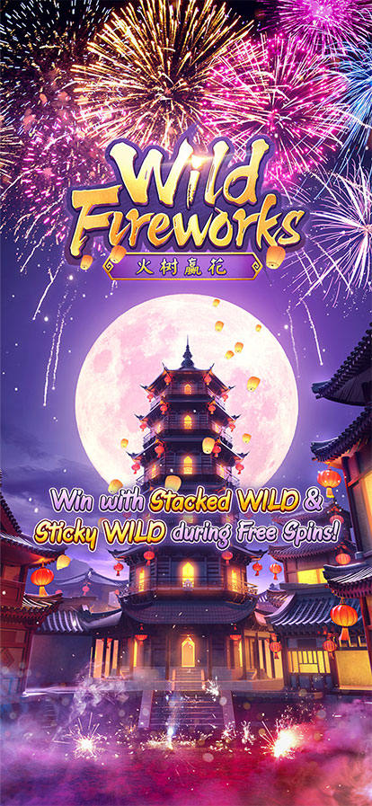Wild Fireworks — скриншот игрового процесса